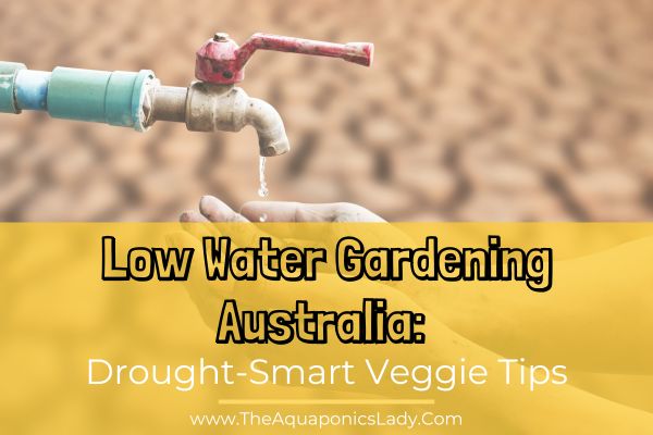 A tap dripping on dry hands with drought land behind them: Low Water Gardening Australia: Drought-Smart Veggie Tips