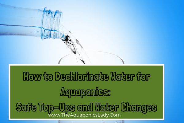 How to Dechlorinate Water for Aquaponics: Safe Top-Ups and Water Changes