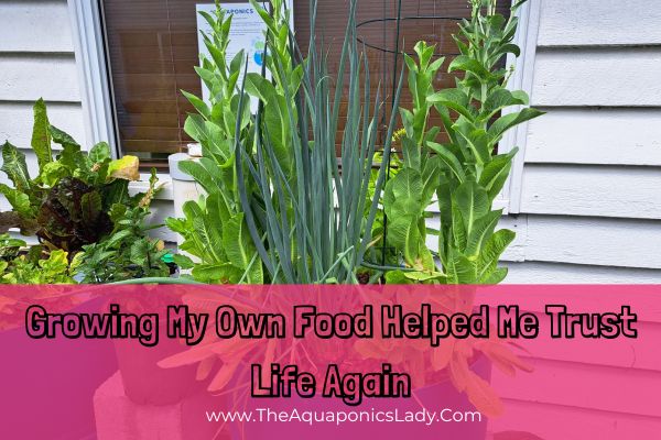 Growing My Own Food Helped Me Trust Life Again