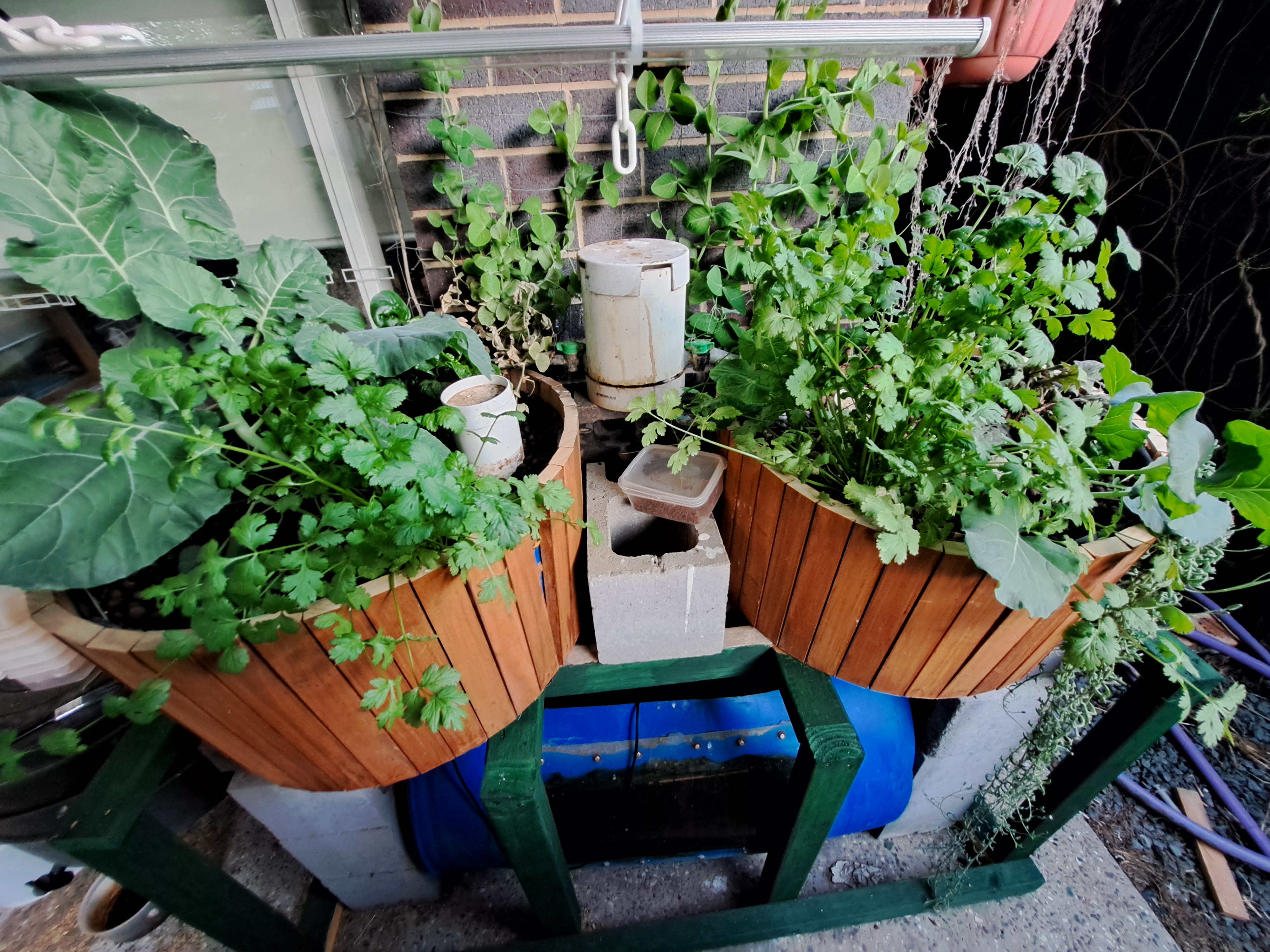 courtyard aquaponics systems showing that there is no single correct design.