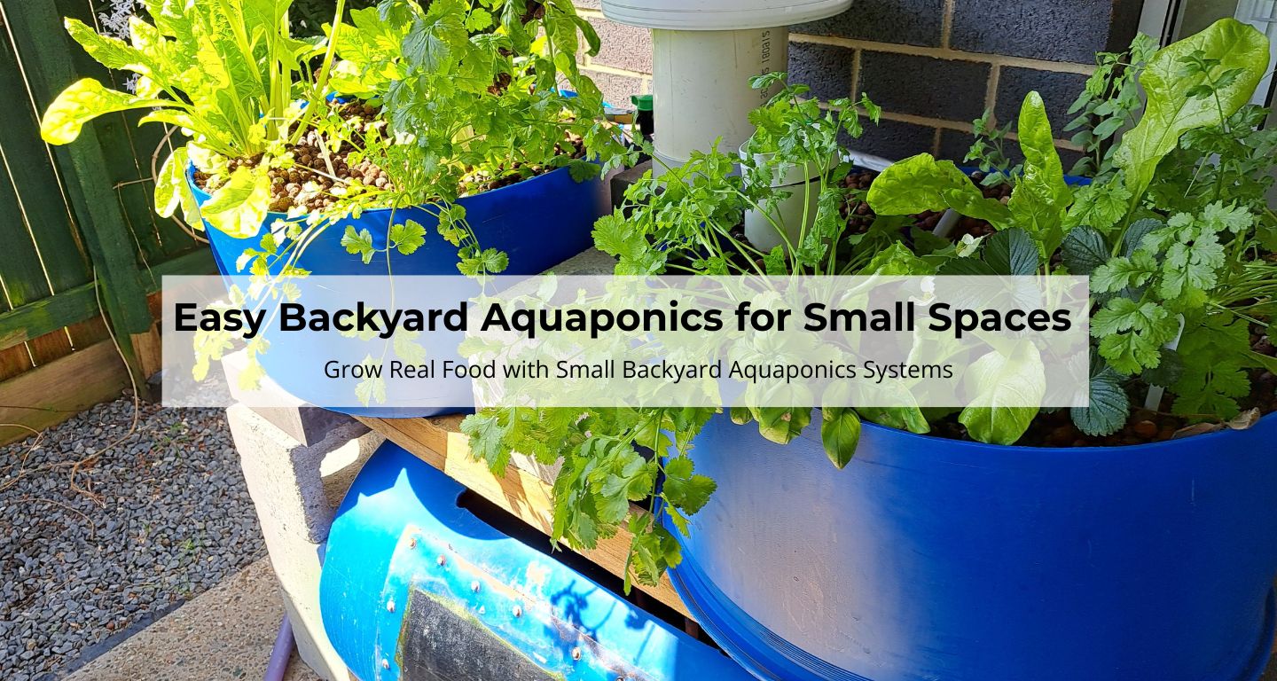 Easy backyard aquaponics for small spaces