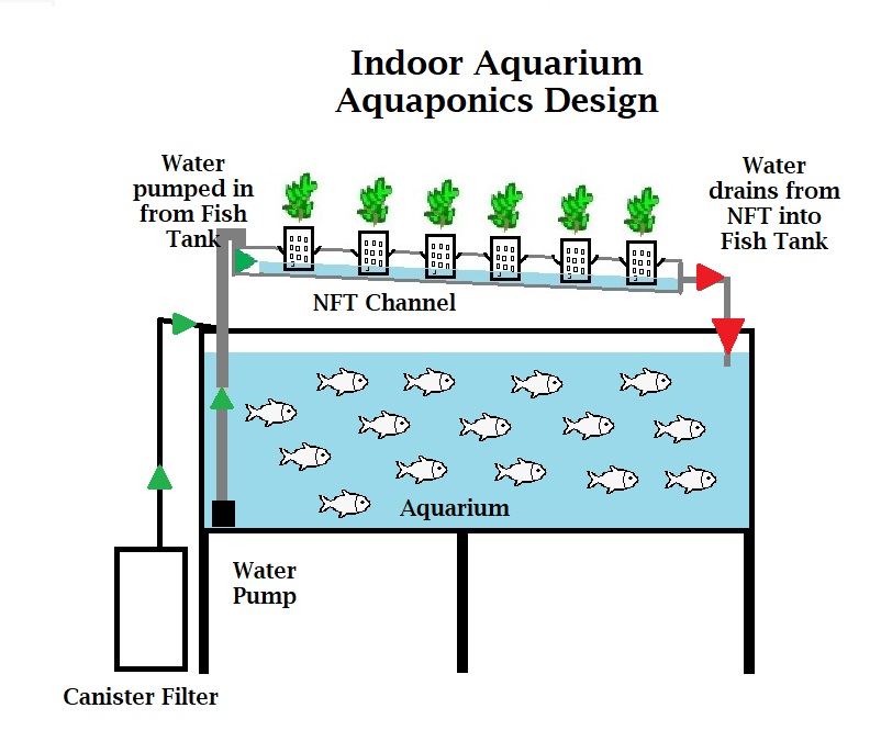 Diagram showing an indoor aquarium aquaponics system with aquarium, pump and NFT growing channels.
