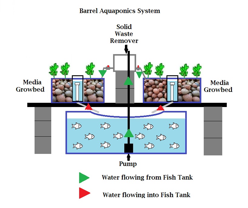 Diagram showing the layout of a courtyard aquaponics system.