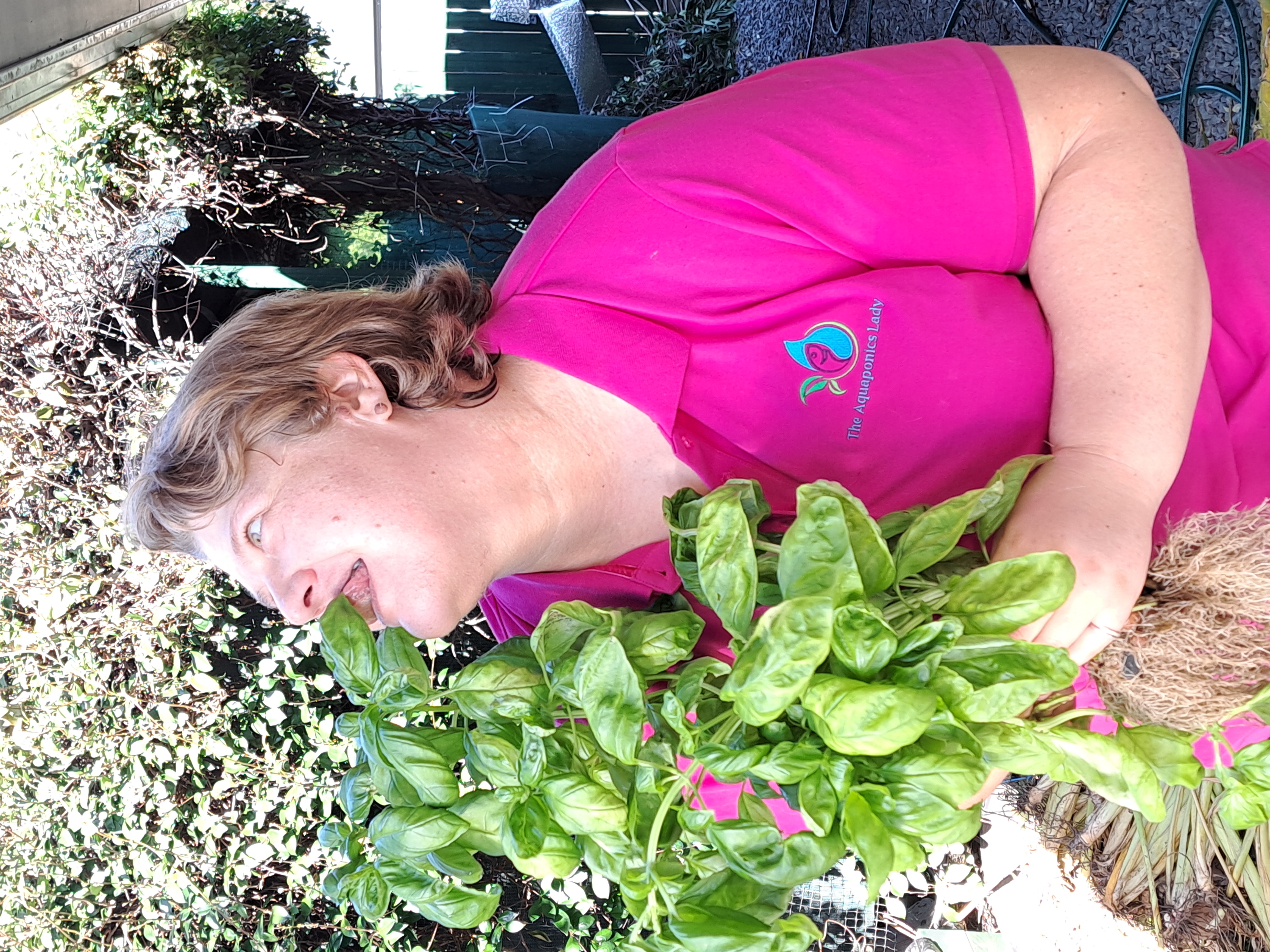 Harvesting fresh vegetables from a backyard aquaponics system.