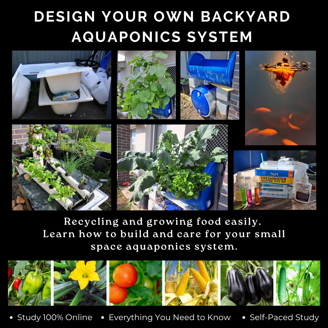 Design Your Own Backyard Aquaponics System