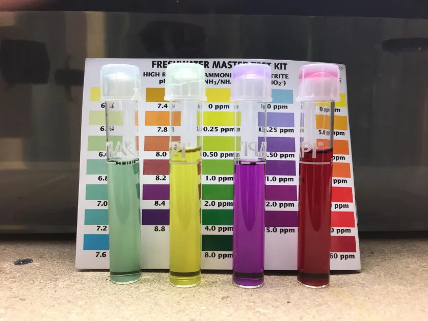 track your water quality to watch for patterns and issues