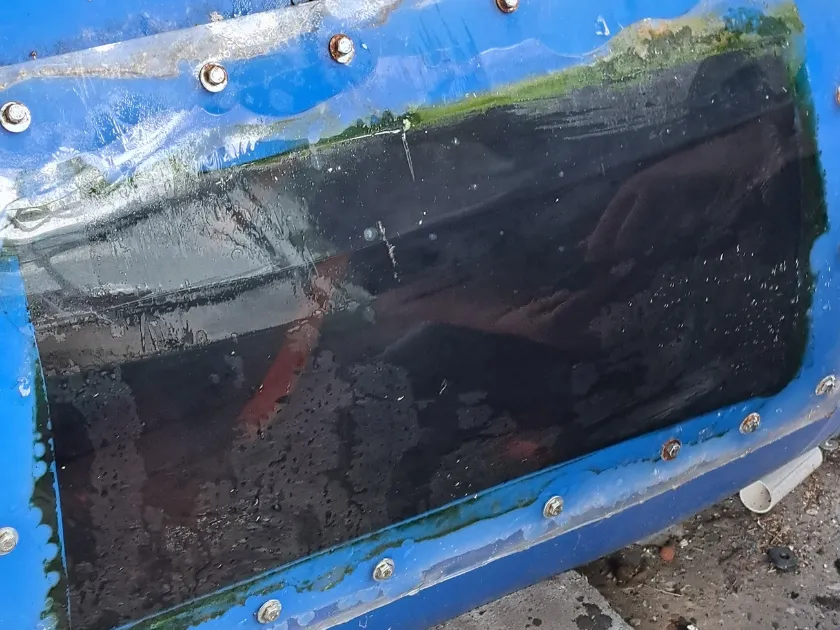 Clear fish viewing window installed in a backyard aquaponics fish tank.