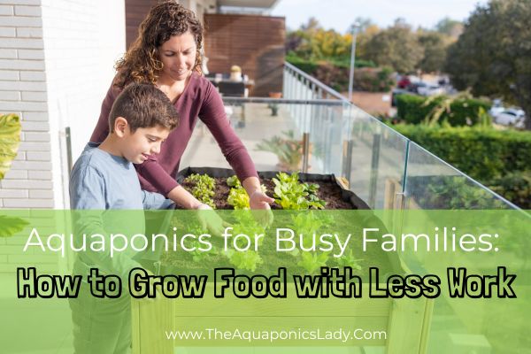 Aquaponics for Busy Families: How to Grow Food with Less Work