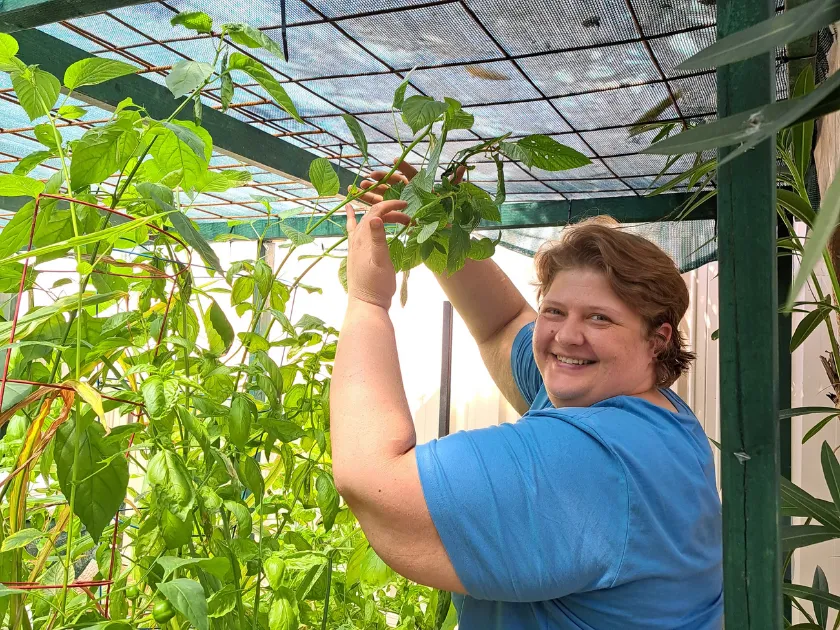 Morning sunlight shining across a peaceful home aquaponics garden.