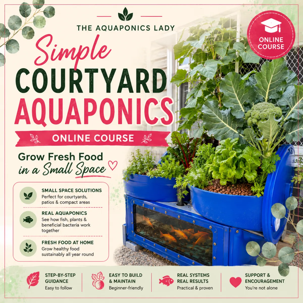 Simple courtyard aquaponics system growing fresh vegetables in a small outdoor space.