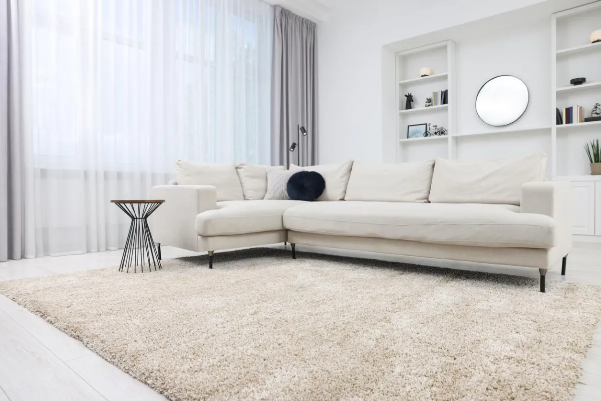 Elegant carpet flooring laid out in a bright, cozy room setting