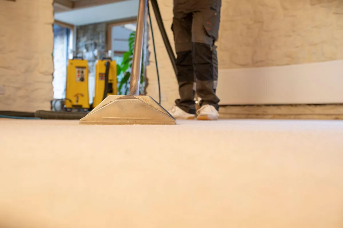 Homeowner vacuuming or treating carpet for maintenance
