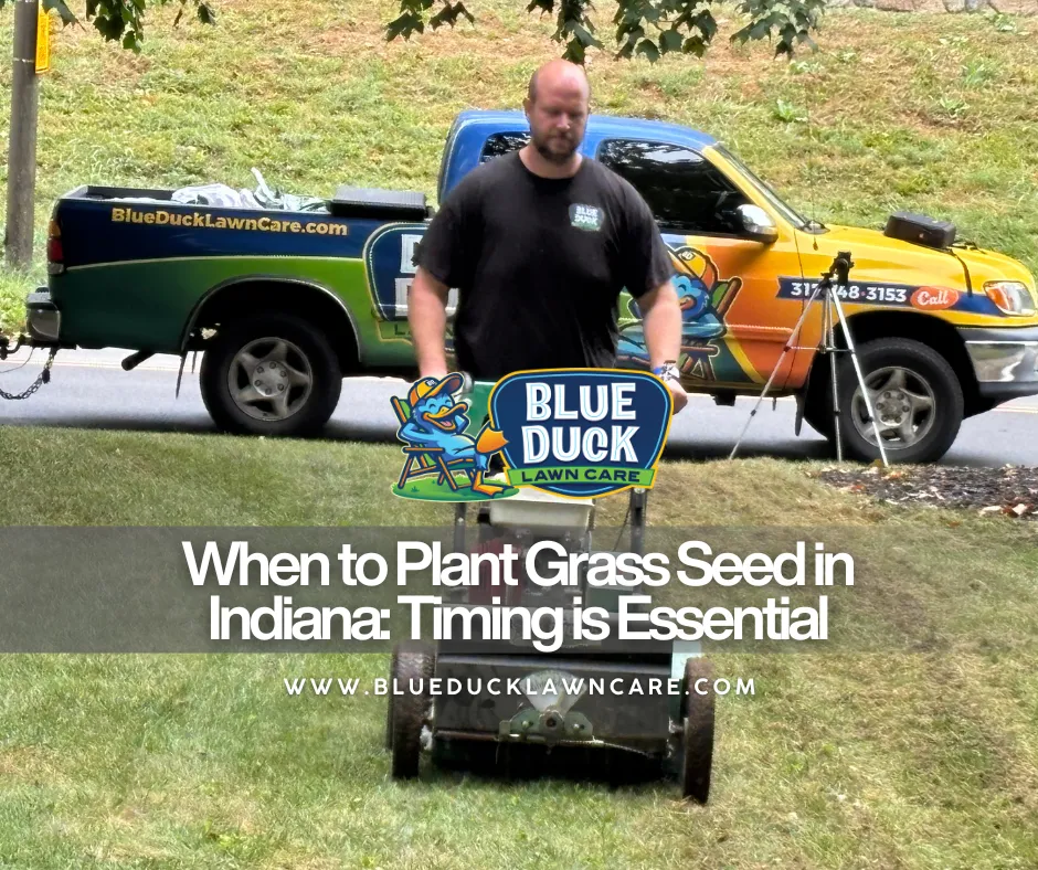 Professional slice seeding service by Blue Duck Lawn Care showing proper technique for when to plant grass seed for Indianapolis homeowners