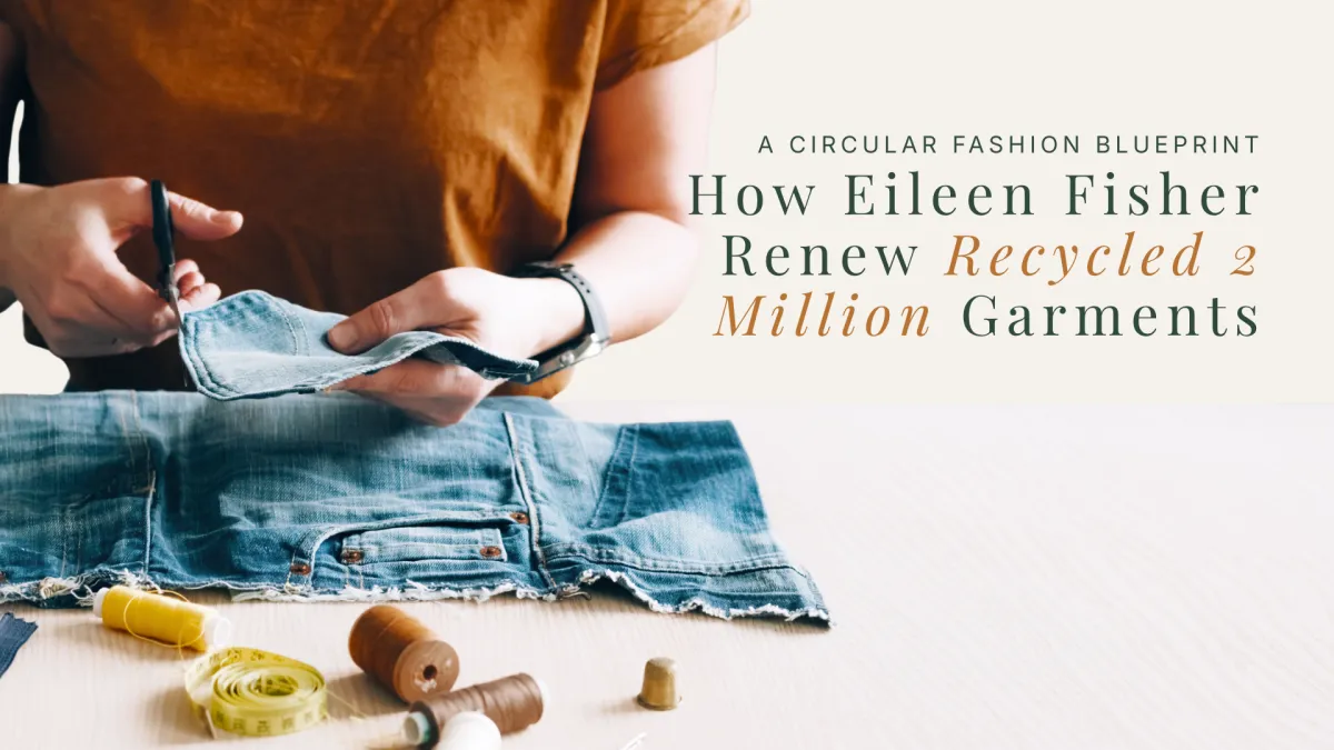 How Eileen Fisher Renew Recycled 2 Million Garments — A Circular Fashion Blueprint | Amalé