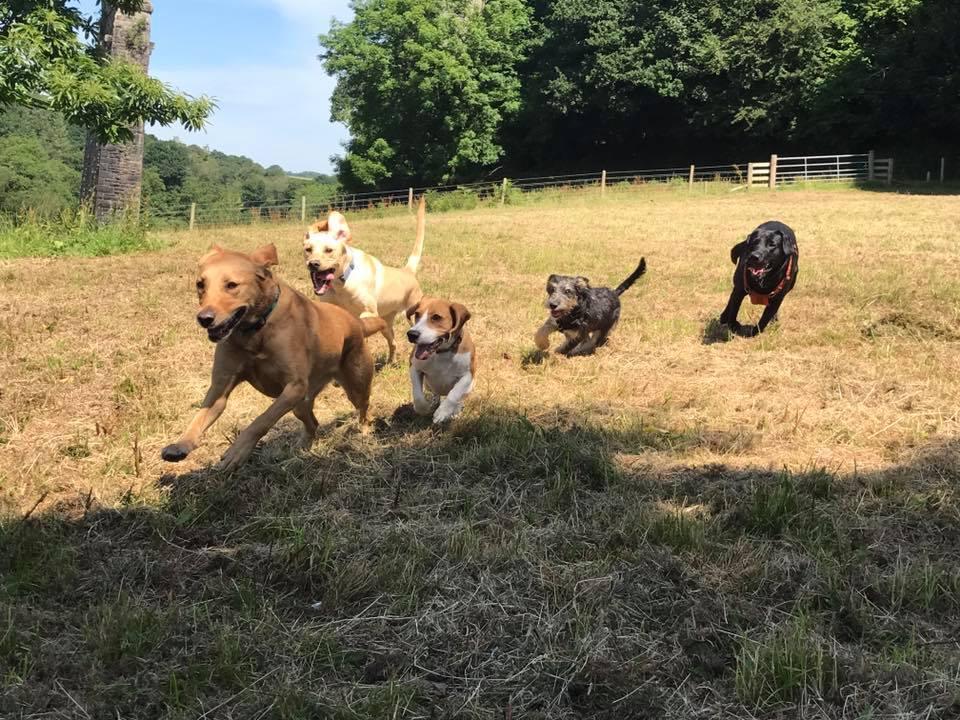 a woman explaining something to a group of people
