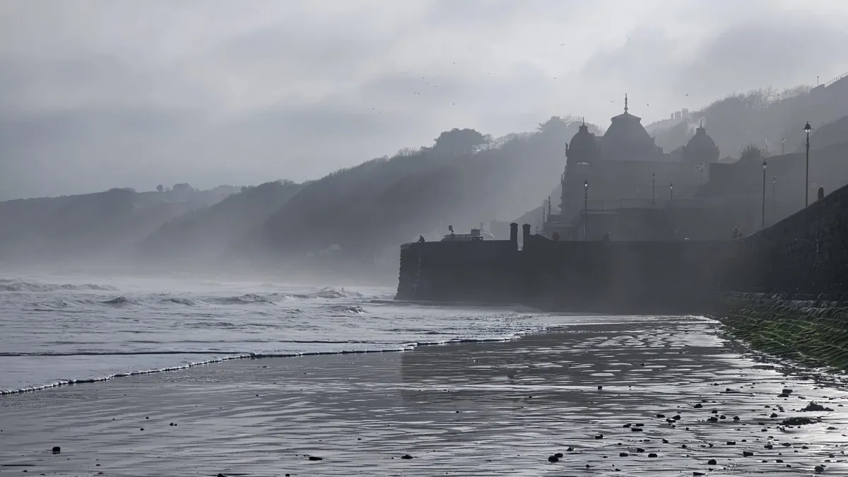 Pleasure in small things!