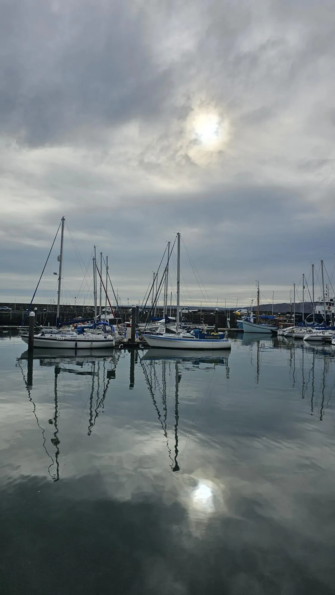 Emergence of Spring and self-kindness