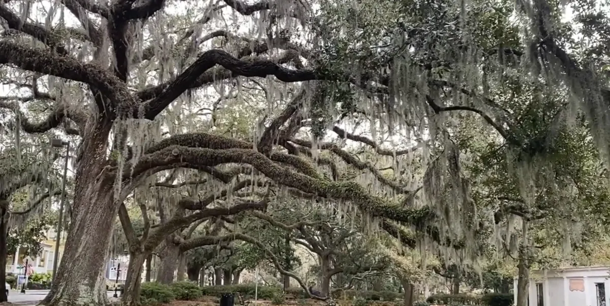 Living in Harmony with Nature