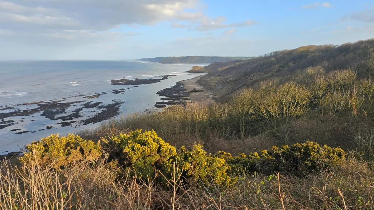 Weasels and self-kindness!