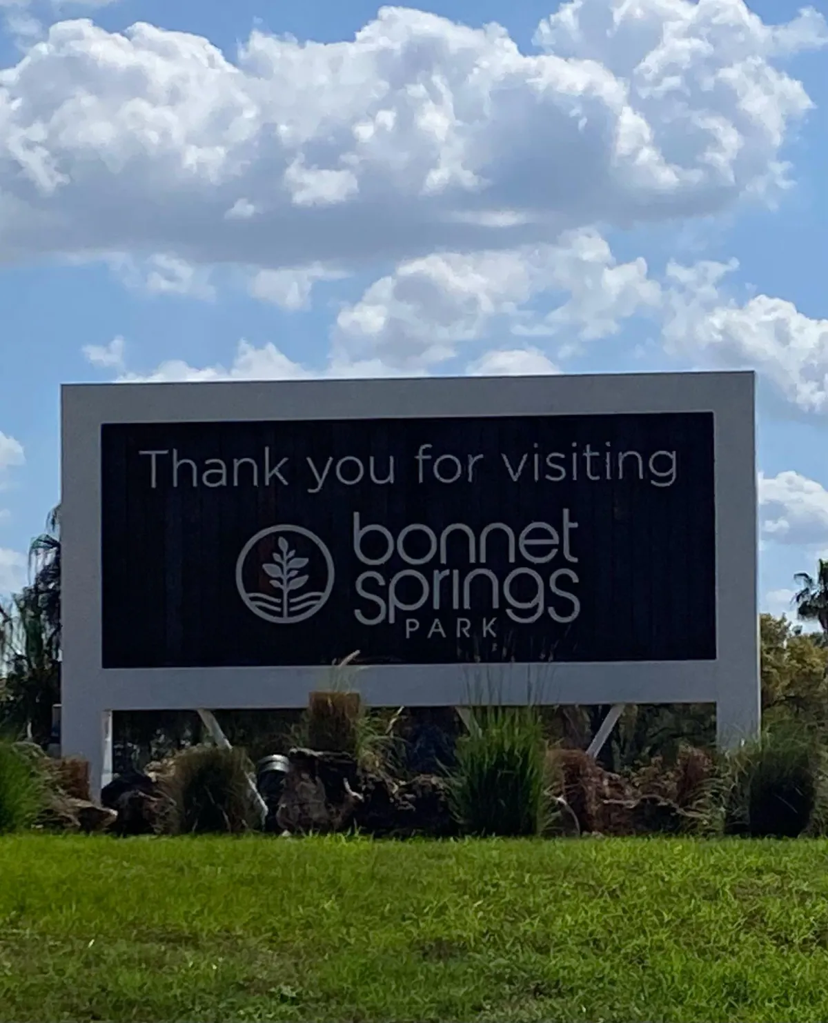 Tending What Feels Broken