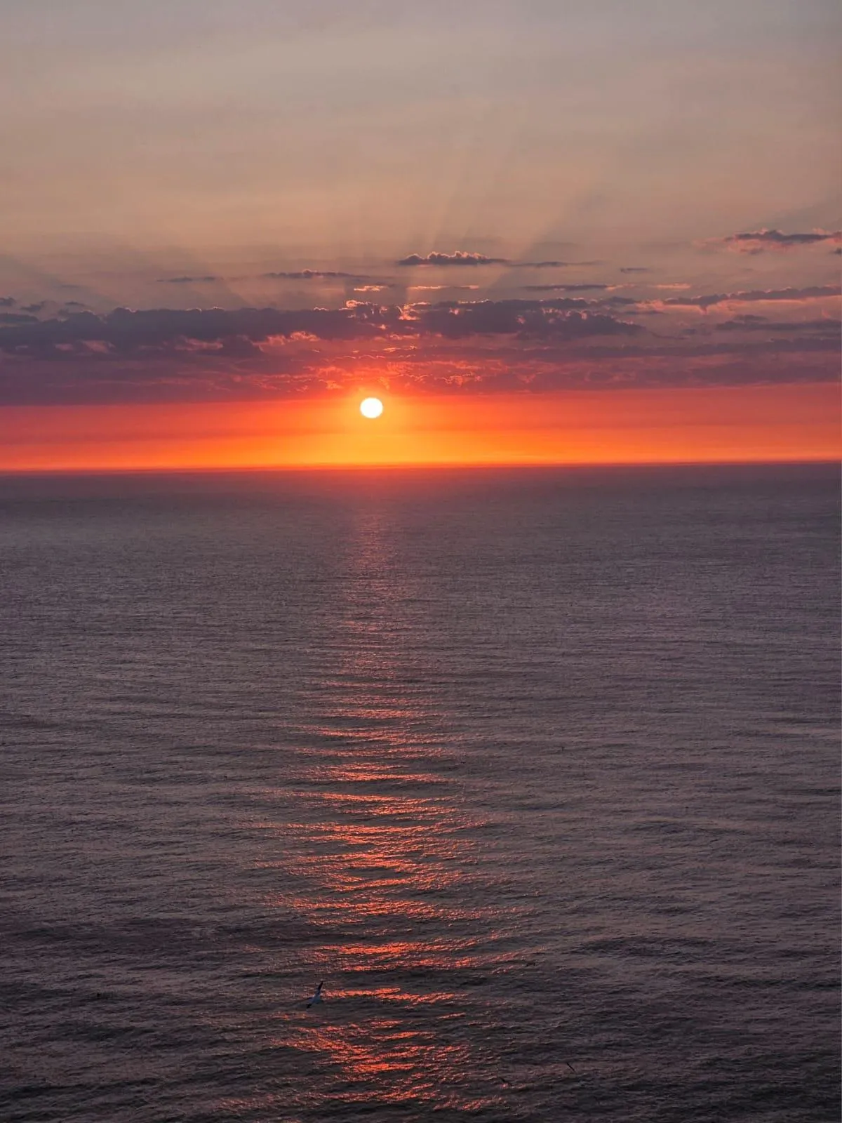 The Solar Eclipse and Self-Kindness.