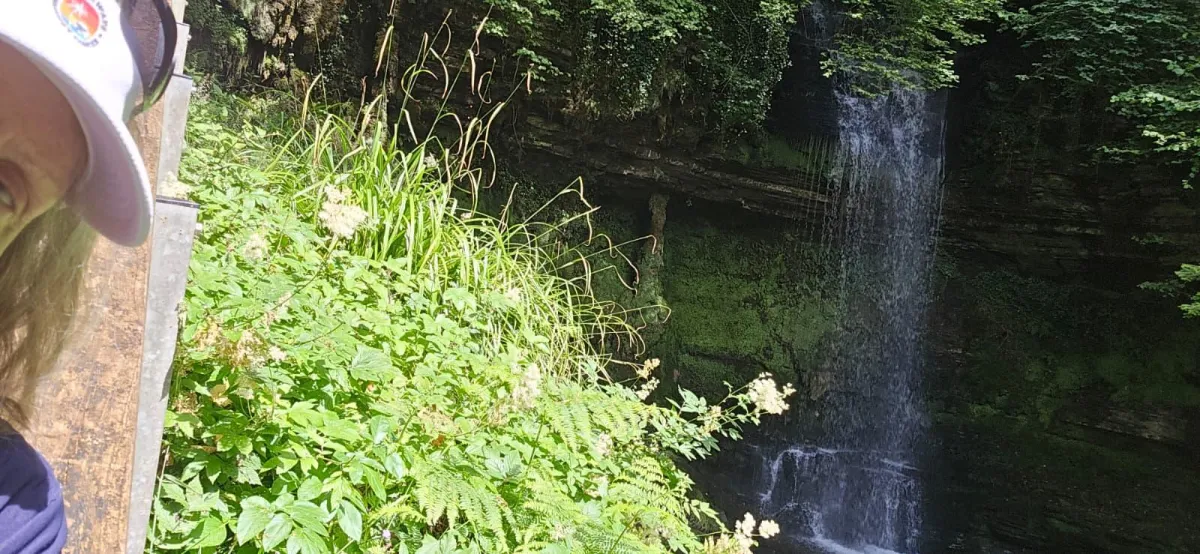 Finding Wonder in the Journey
