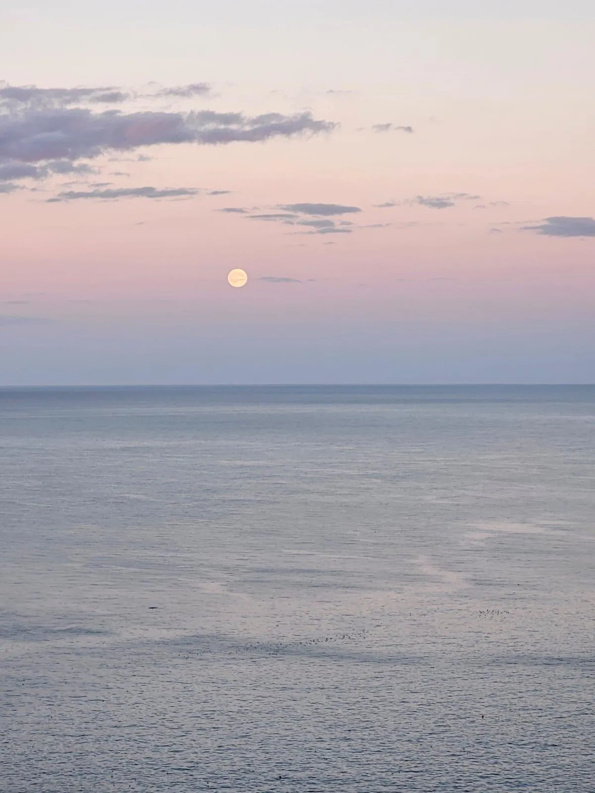 Harvest Moon and Self Kindness