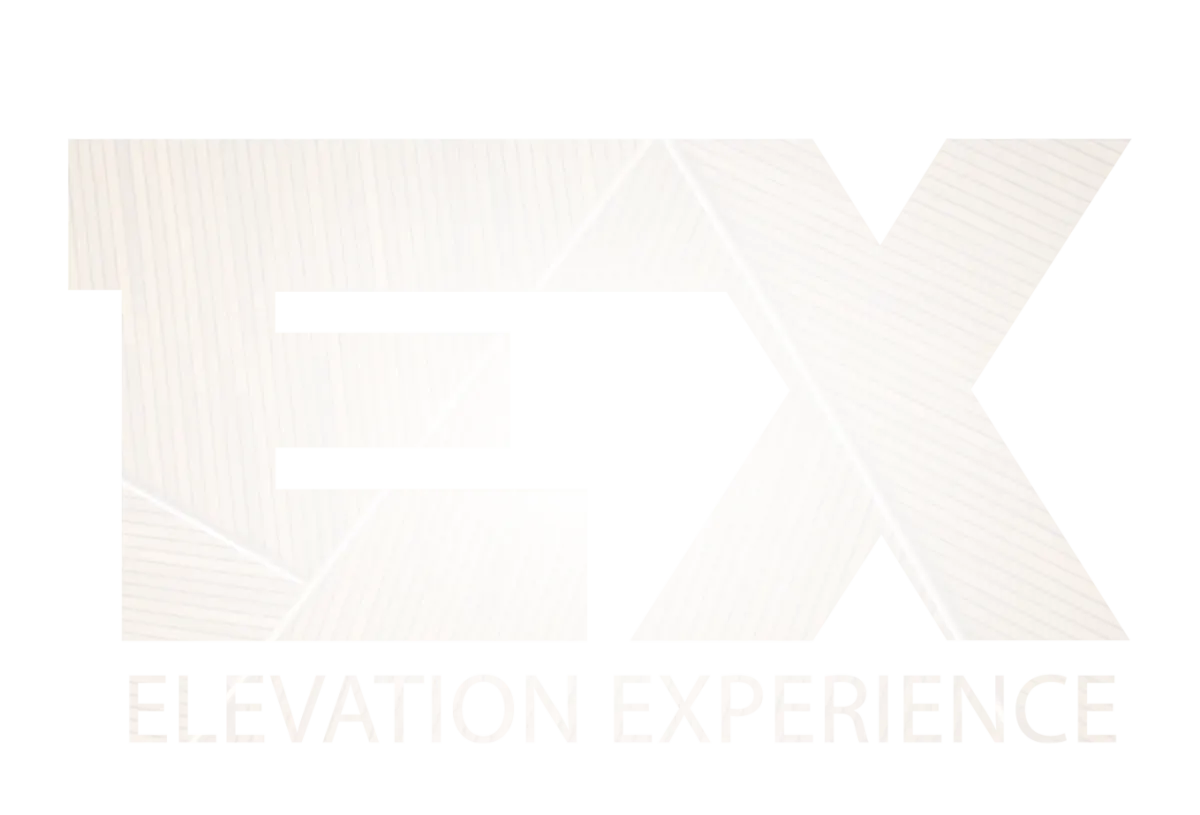 Elevation Experience