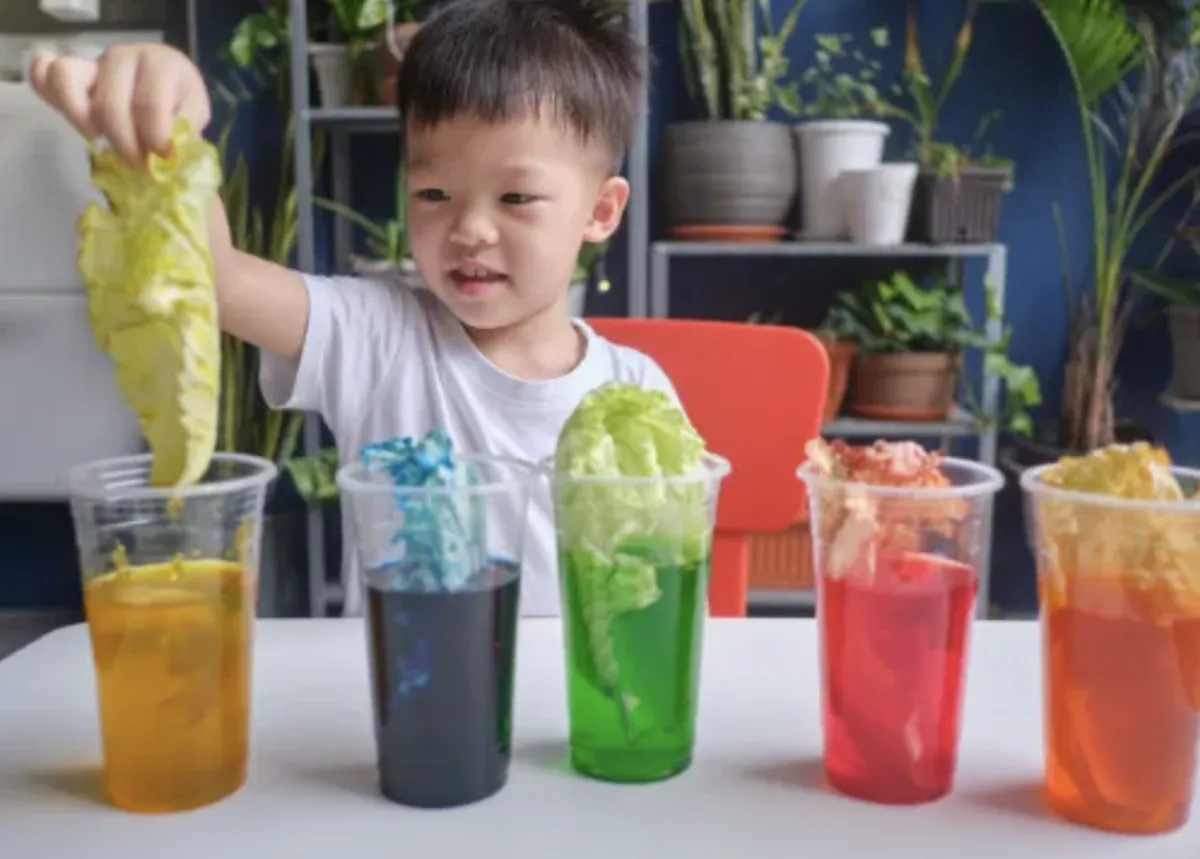 Boy picks paper out of different colored liquids