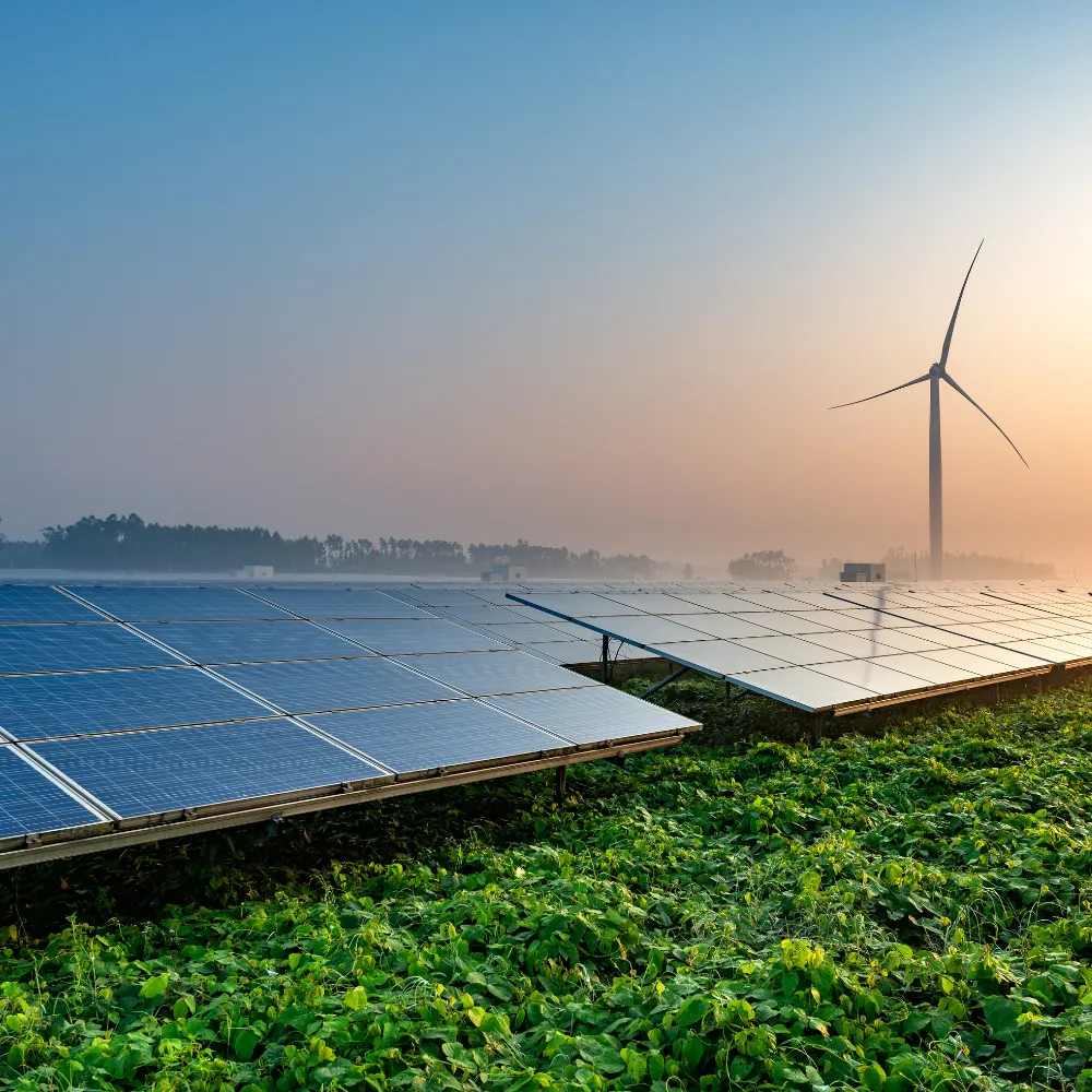 Commercial solar system in Brisbane
