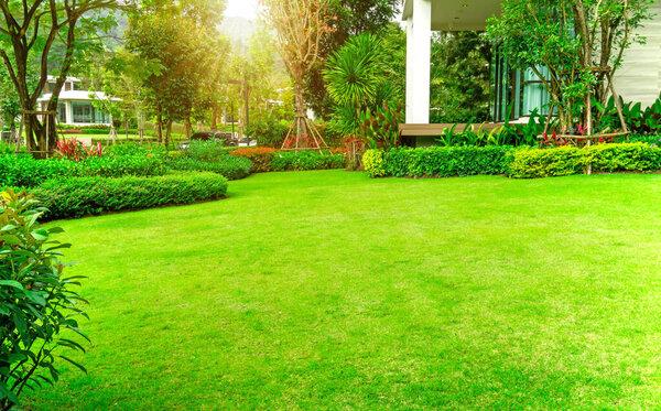 Well‑manicured commercial yard with tidy bushes along a commercial property.
