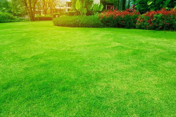 Nicely maintained grass, mulch beds, and colorful plants in a Minooka yard.