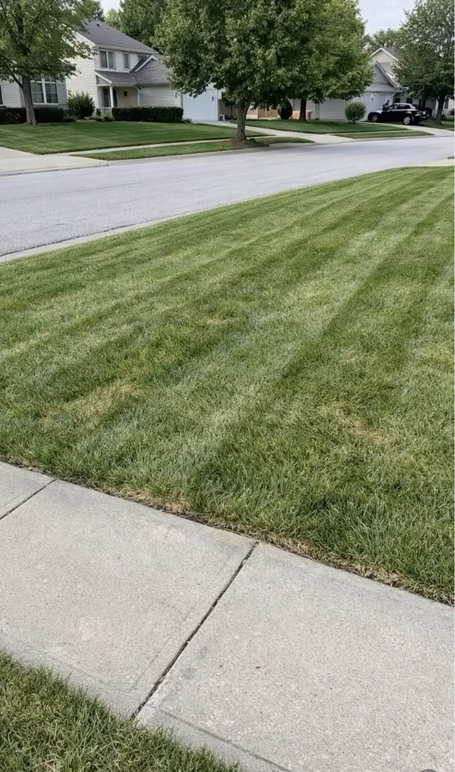 Perfectly manicured green residential lawn