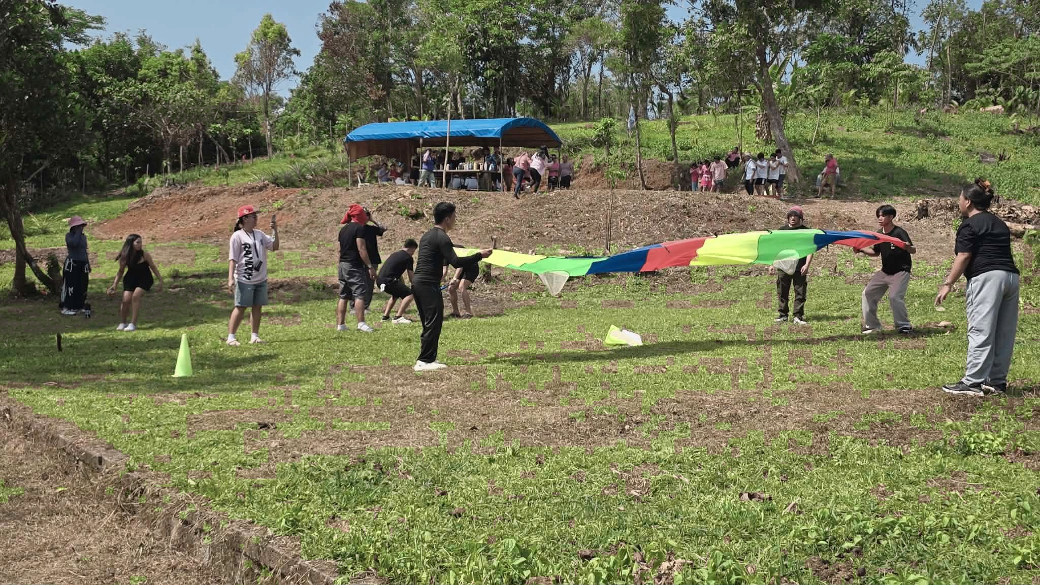 Corporate team building activities on the lawn