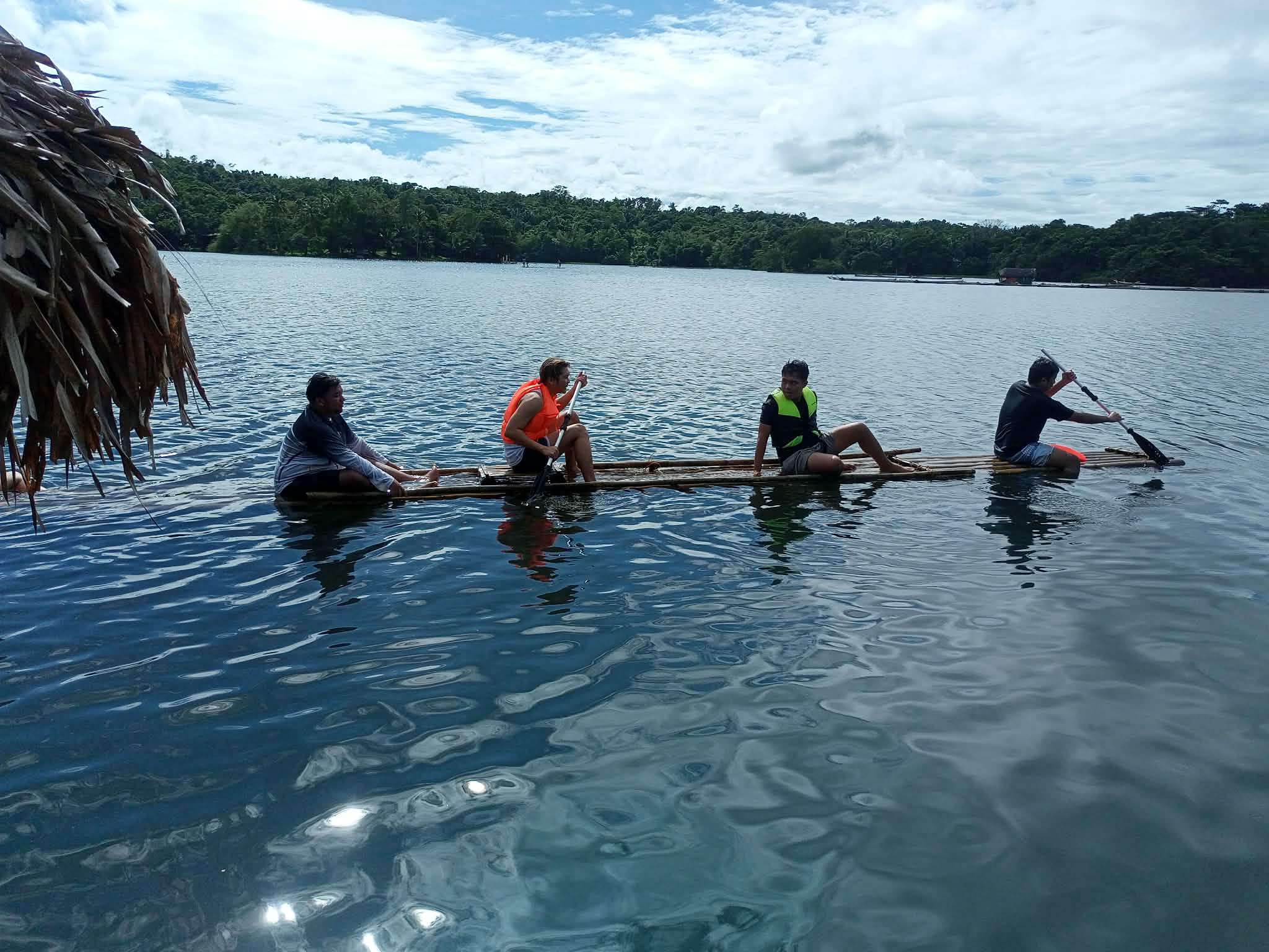 Swimming pool and spa area overlooking trees