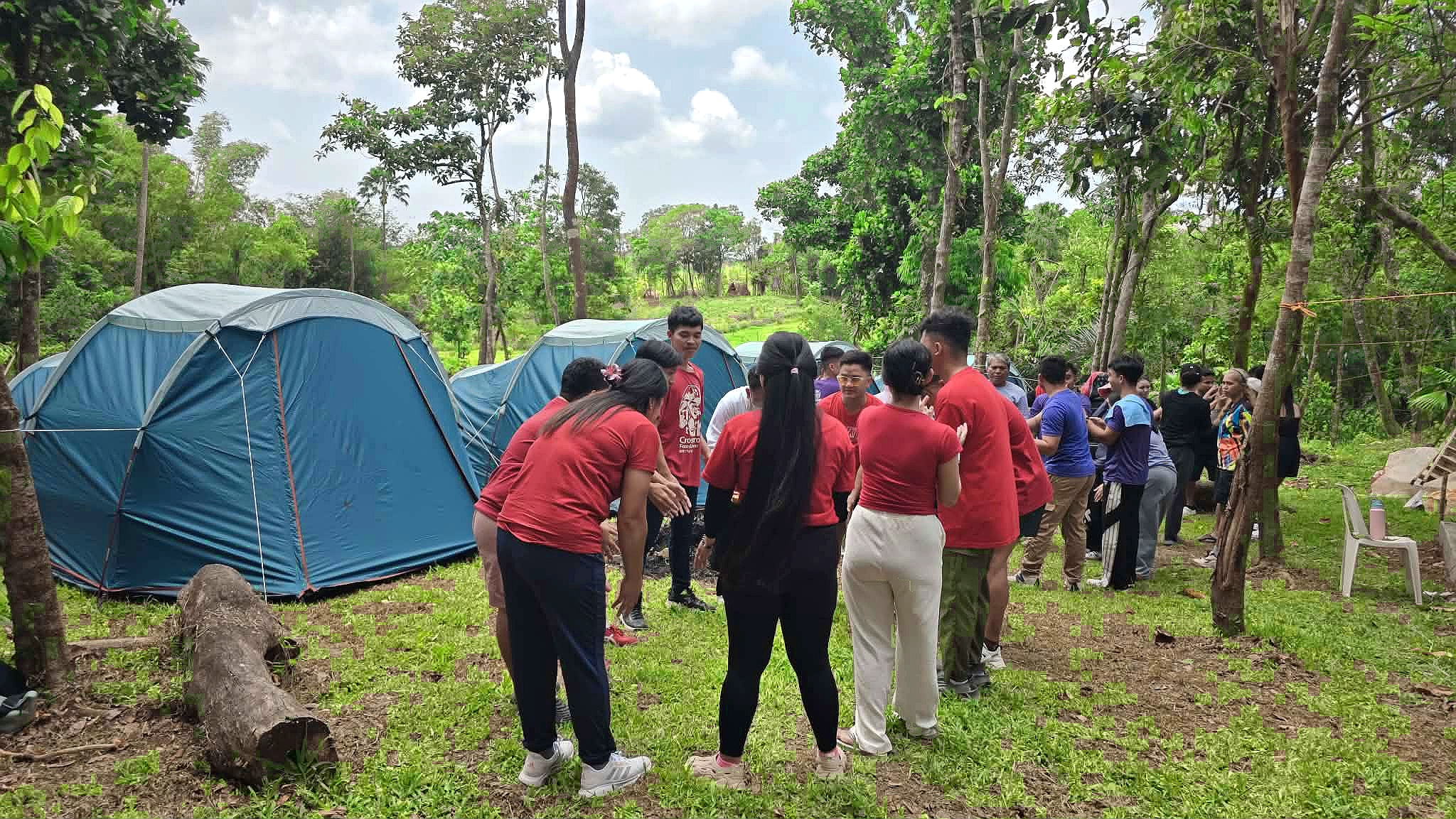 Treehouse exterior with forest background