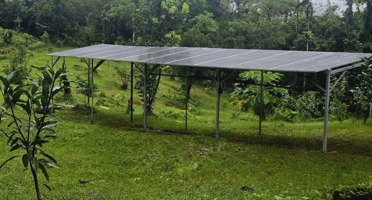 Solar Panels at the Farm