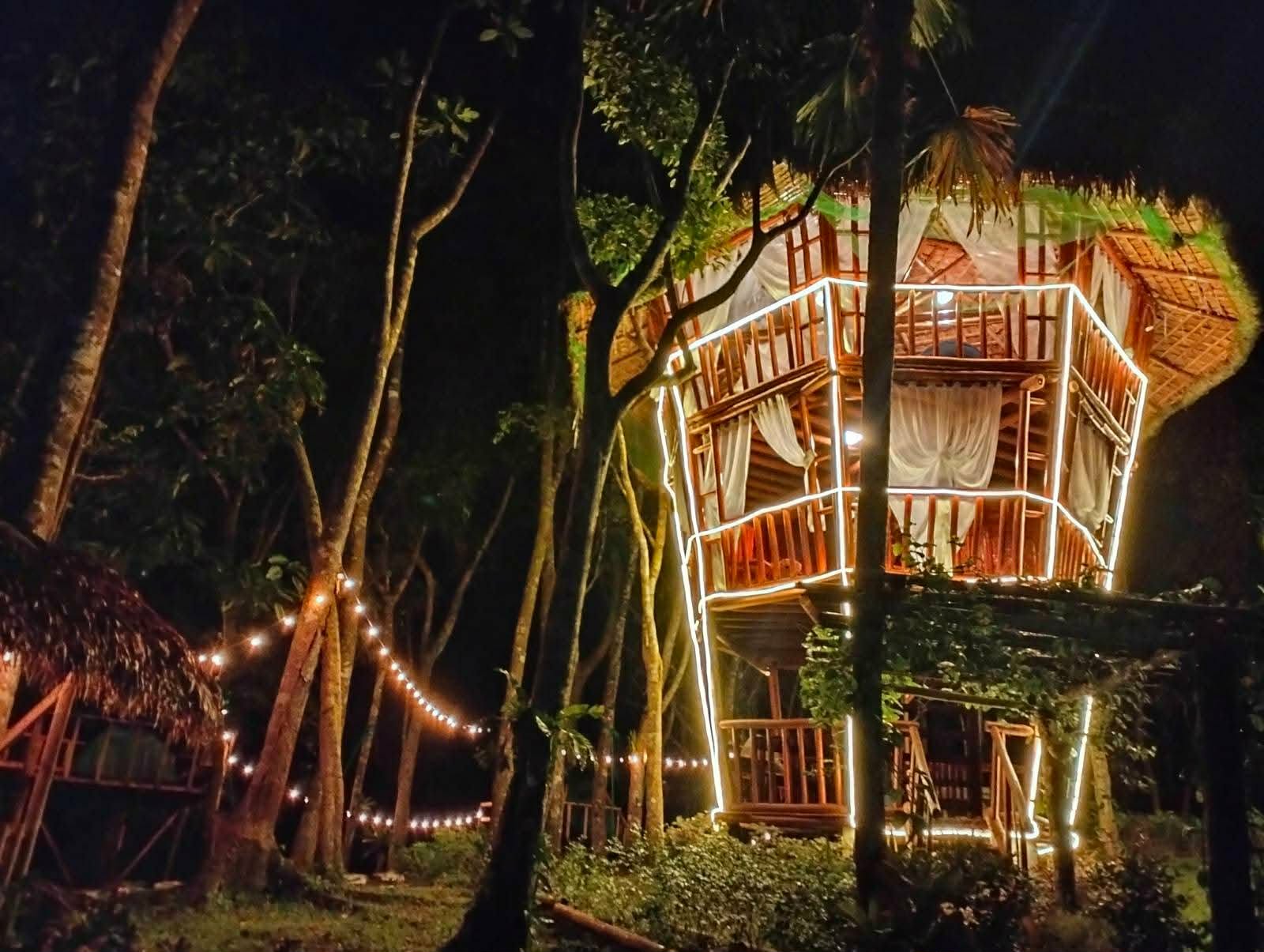 Treehouse at Night