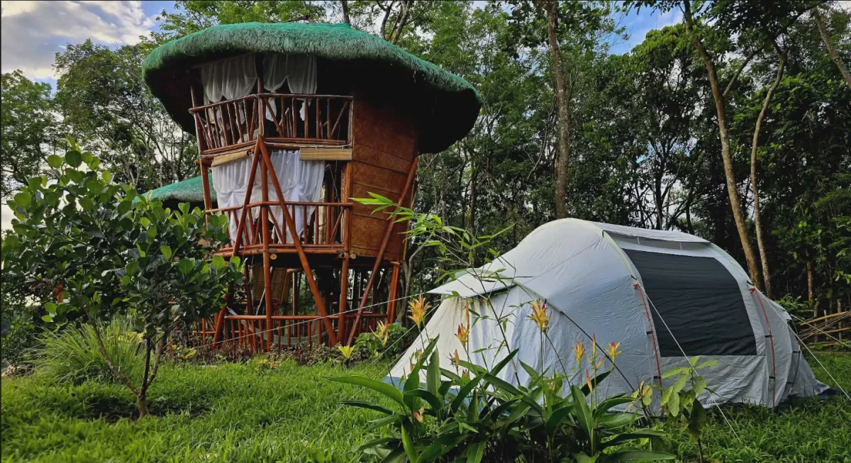 Treehouse with a tent