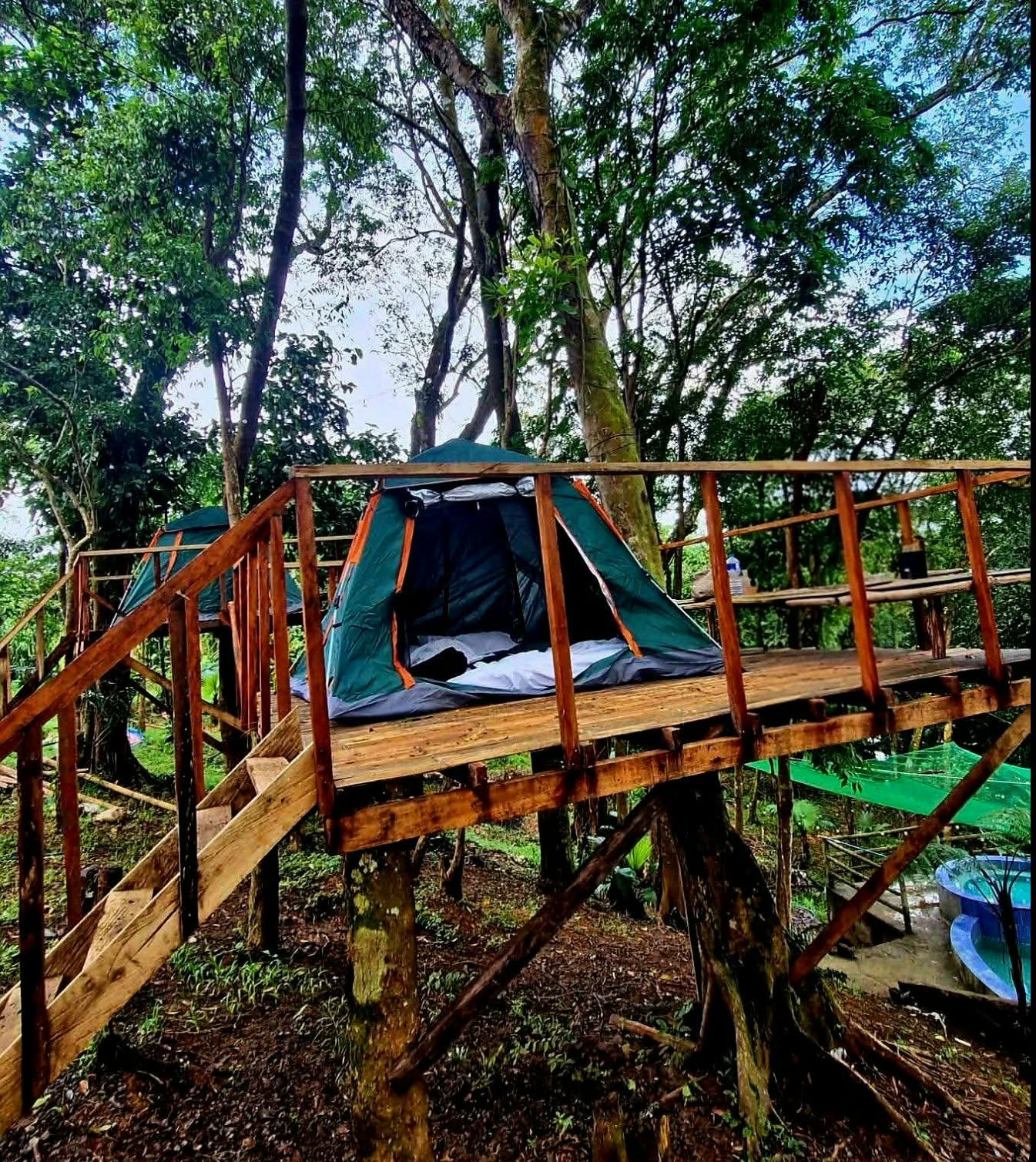Treeraza - Viewing deck with tent