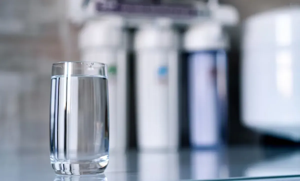 is-a-reverse-osmosis-system-good-for-kidneys-health