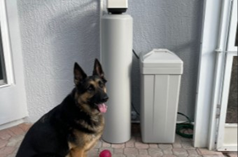 how-to-filter-water-at-home-5-simple-diy-methods