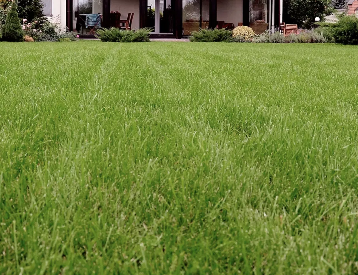 Lawn Care