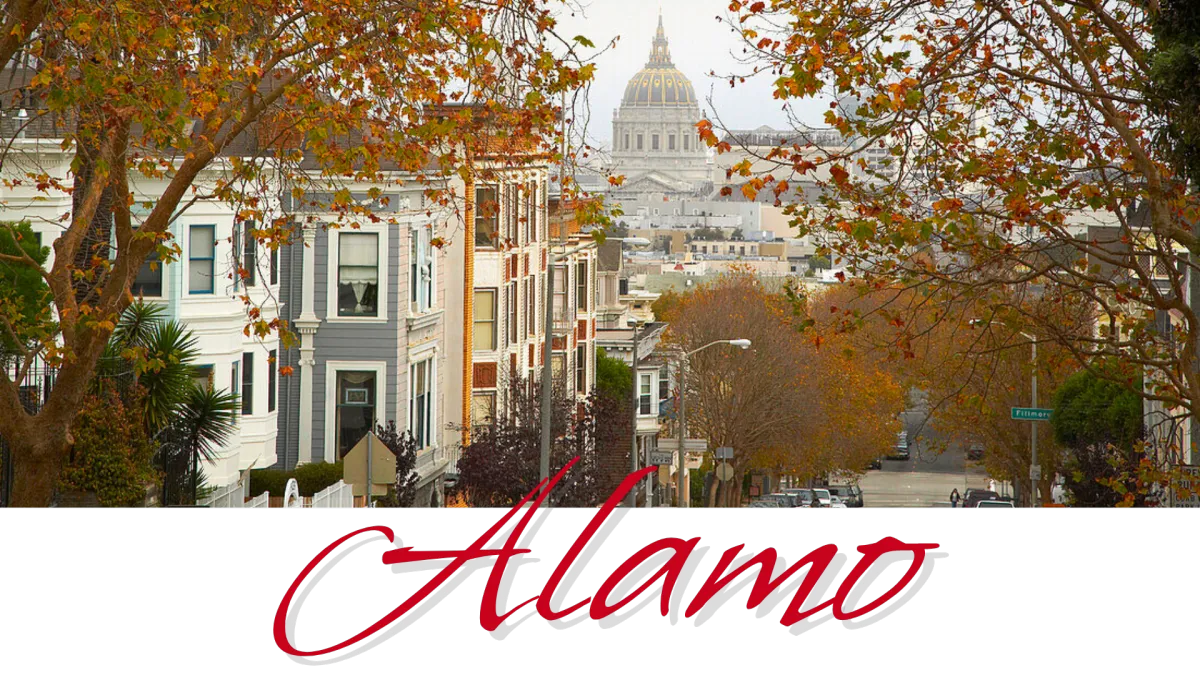 A picture of the city of Alamo