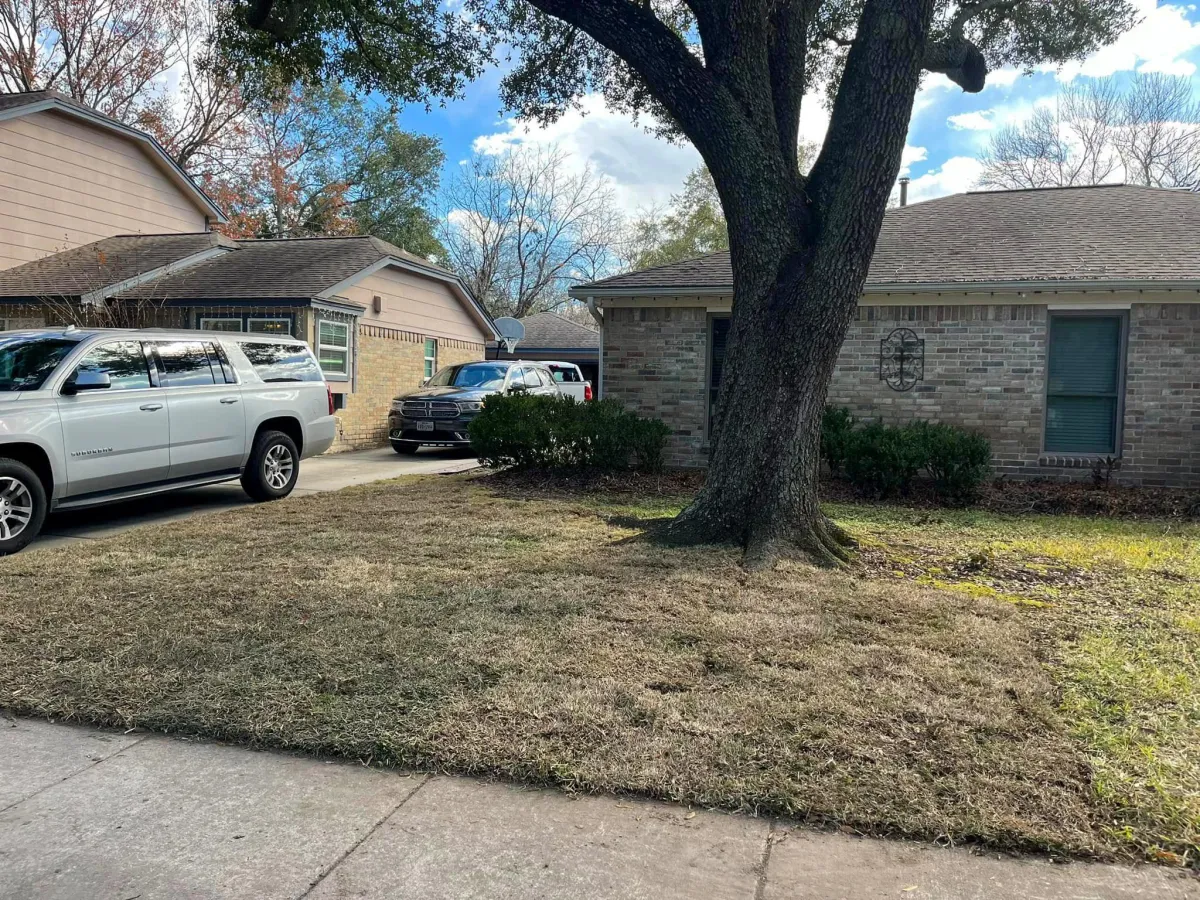 Landscaping finshed—fresh sod on a large lawn in a Houston frontyard.