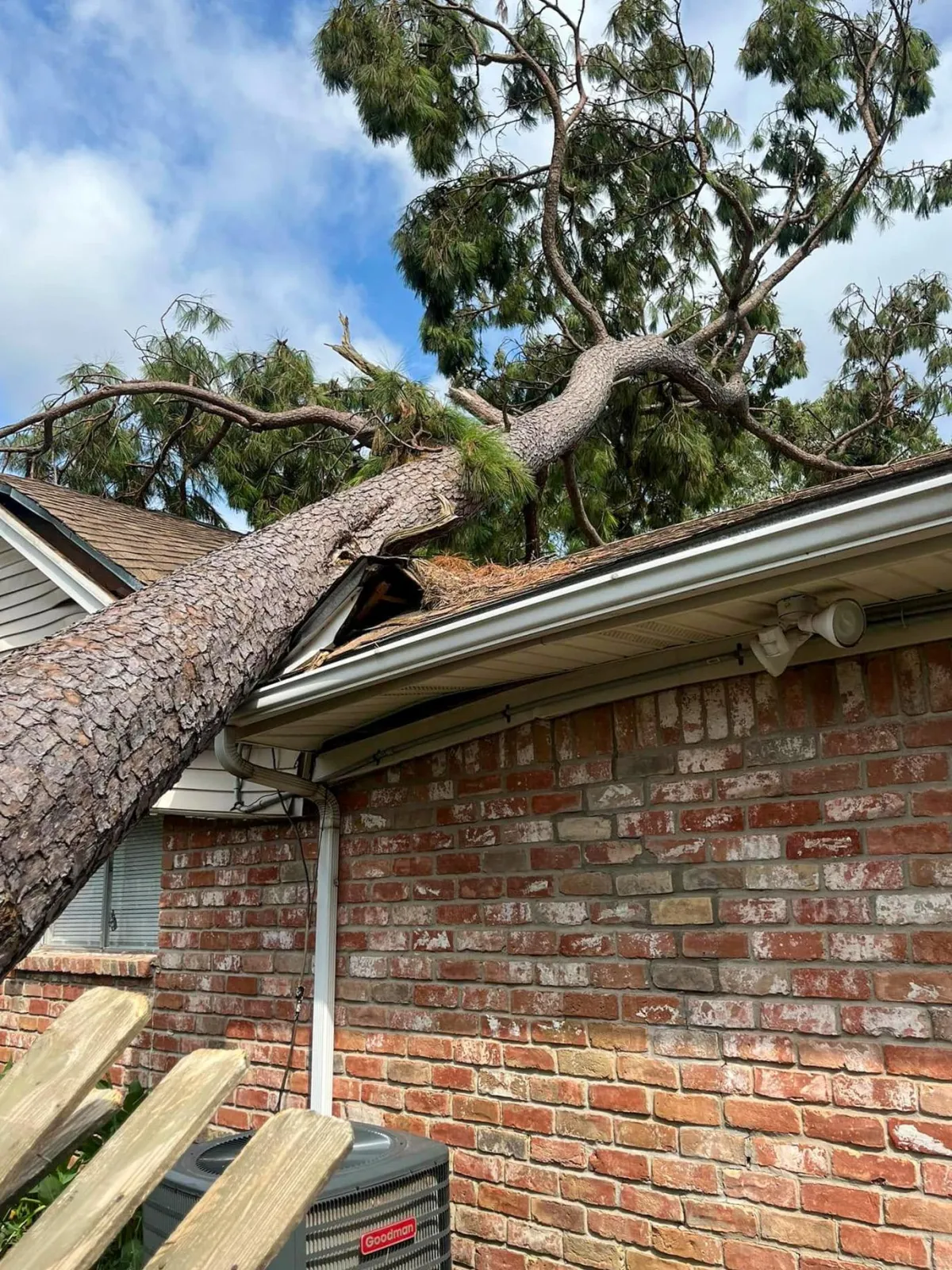 tall pine tree fell on roof of house causing damage