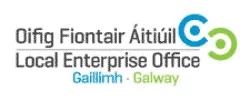 Local Enterprise Office Galway