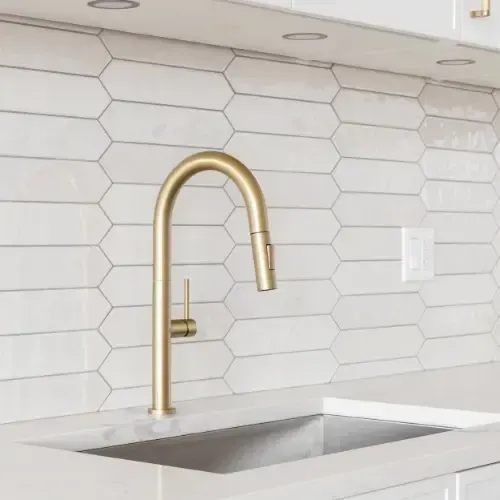 A new luxurious faucet installation for a kitchen sink.
