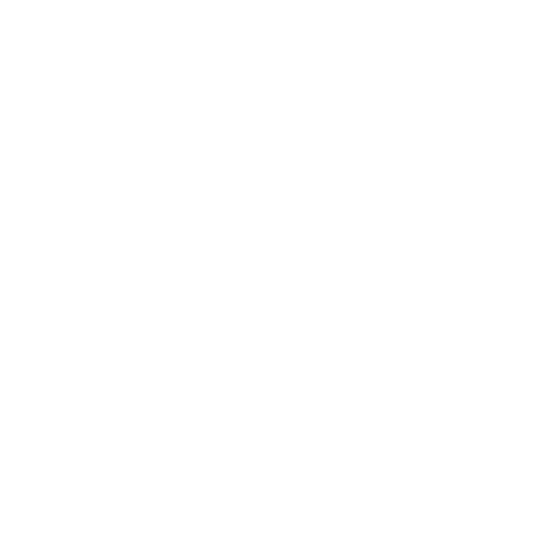 White Check Icon