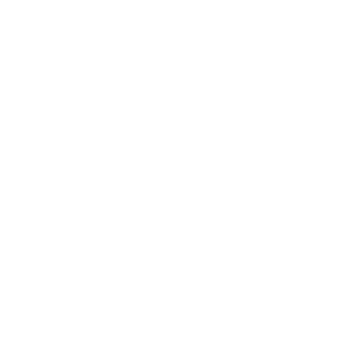 White Boat Icon